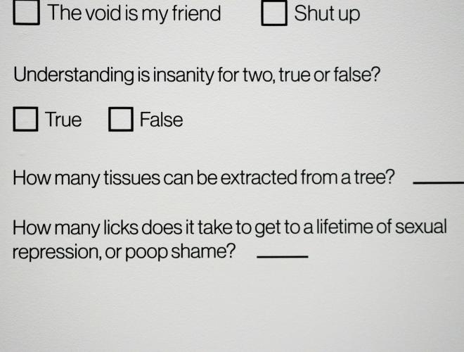 White wall with questionnaire in black vinyl.