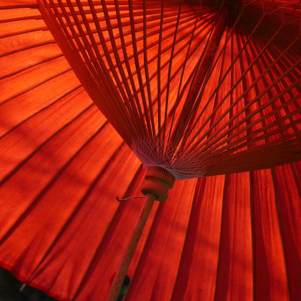 Umbrella image