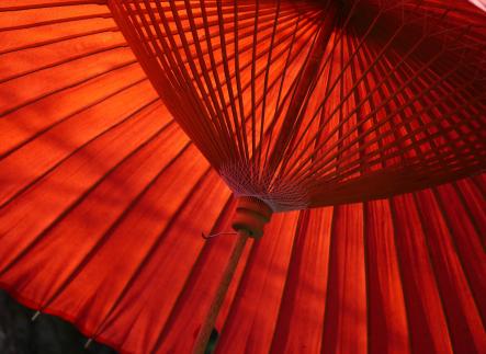 Umbrella image