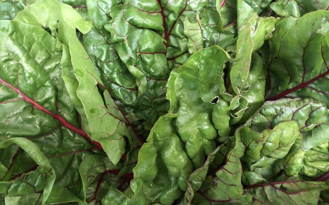 Image of leafy greens