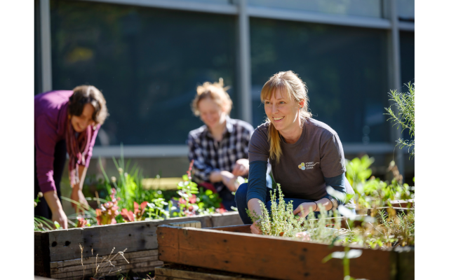 Image of student sustainability center members gardening
