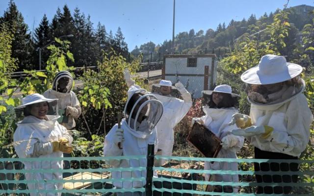 Image of 6 Bee keepers in the PSU orchard