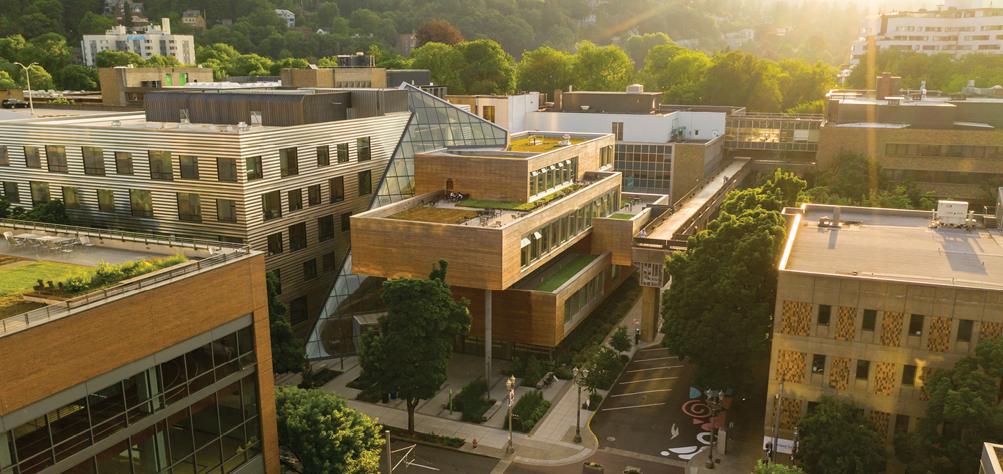 Aerial view of the Karl Miller Center