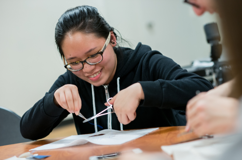 Undergraduate Studies Portland State University