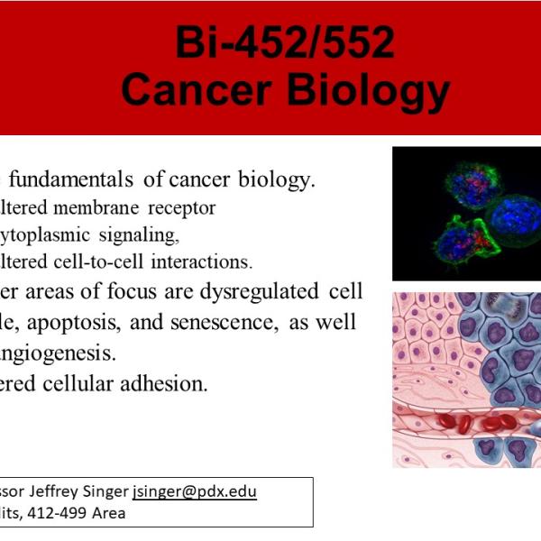 Cancer Biology