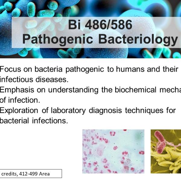 Pathogenic Bacteriology
