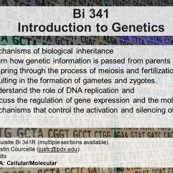 Introduction to Genetics