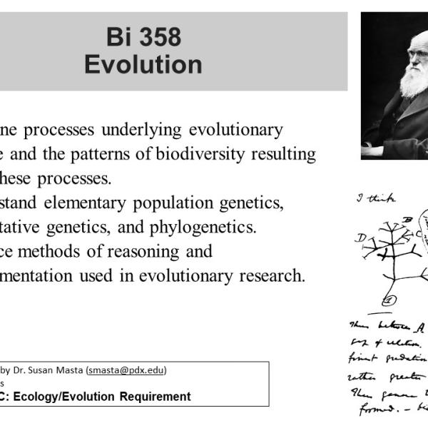 Evolution