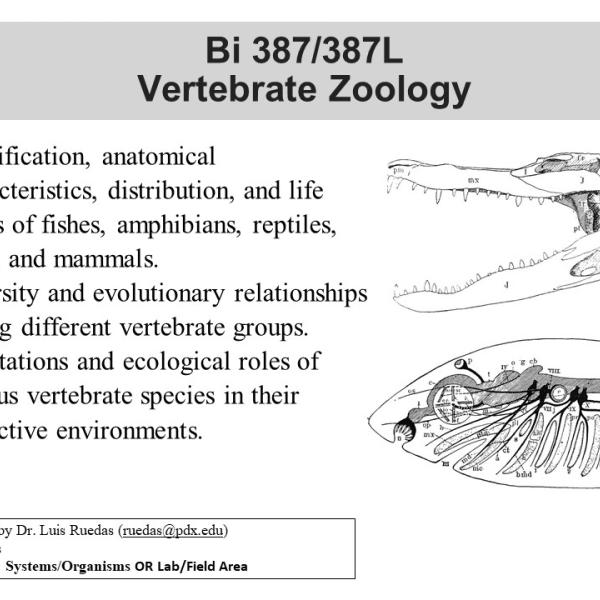 Vertebrate Zoology