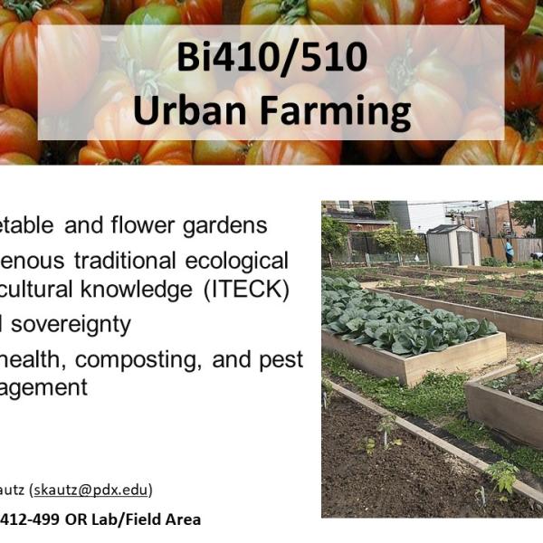 Urban farming