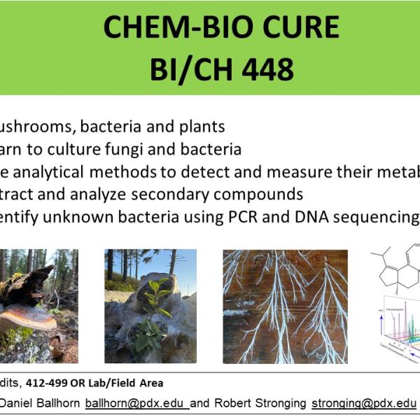 Chem-Biology Research Class (CURE)