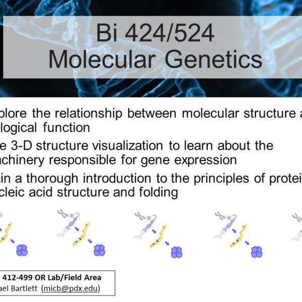 Molecular Genetics