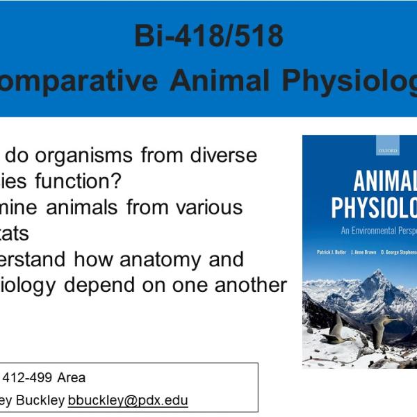 Animal Physiology