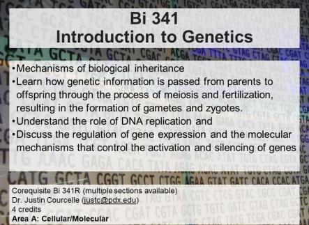 Introduction to Genetics