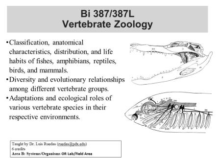 Vertebrate Zoology