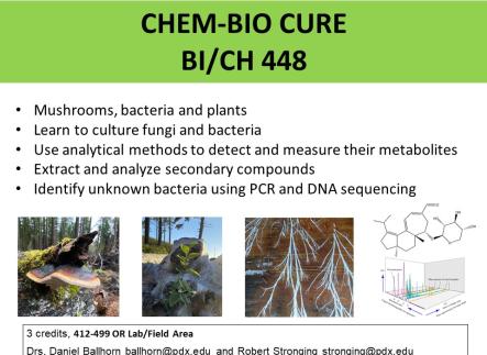 Chem-Biology Research Class (CURE)