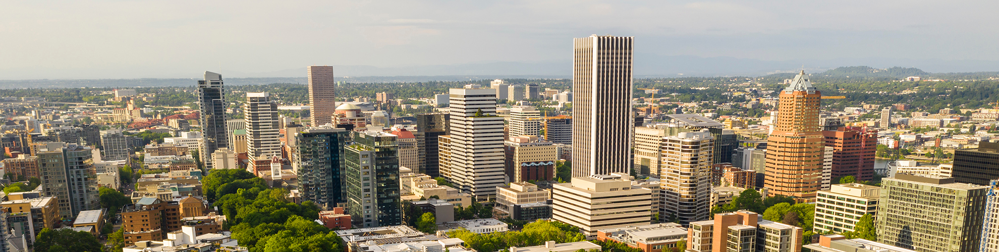 aerial view of  Portland skyline