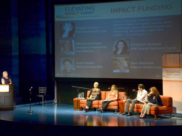 2013 Elevating Impact Summit Impact Funding Panel.