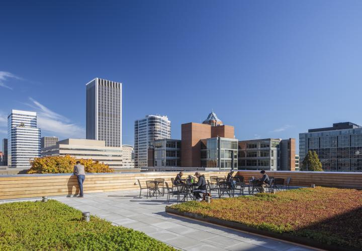 Students on Karl Miller Center Rooftop