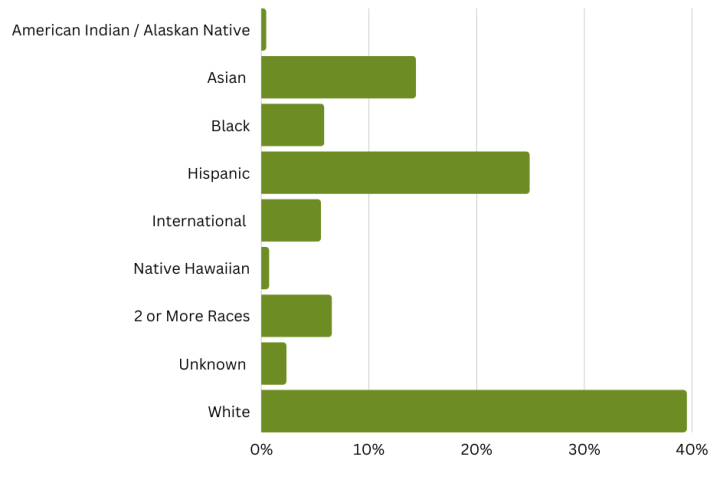 Undergrad race and ethnicity graph
