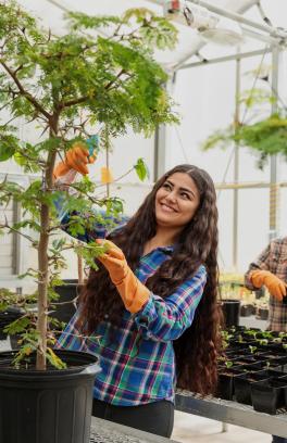 Student in greenhouse