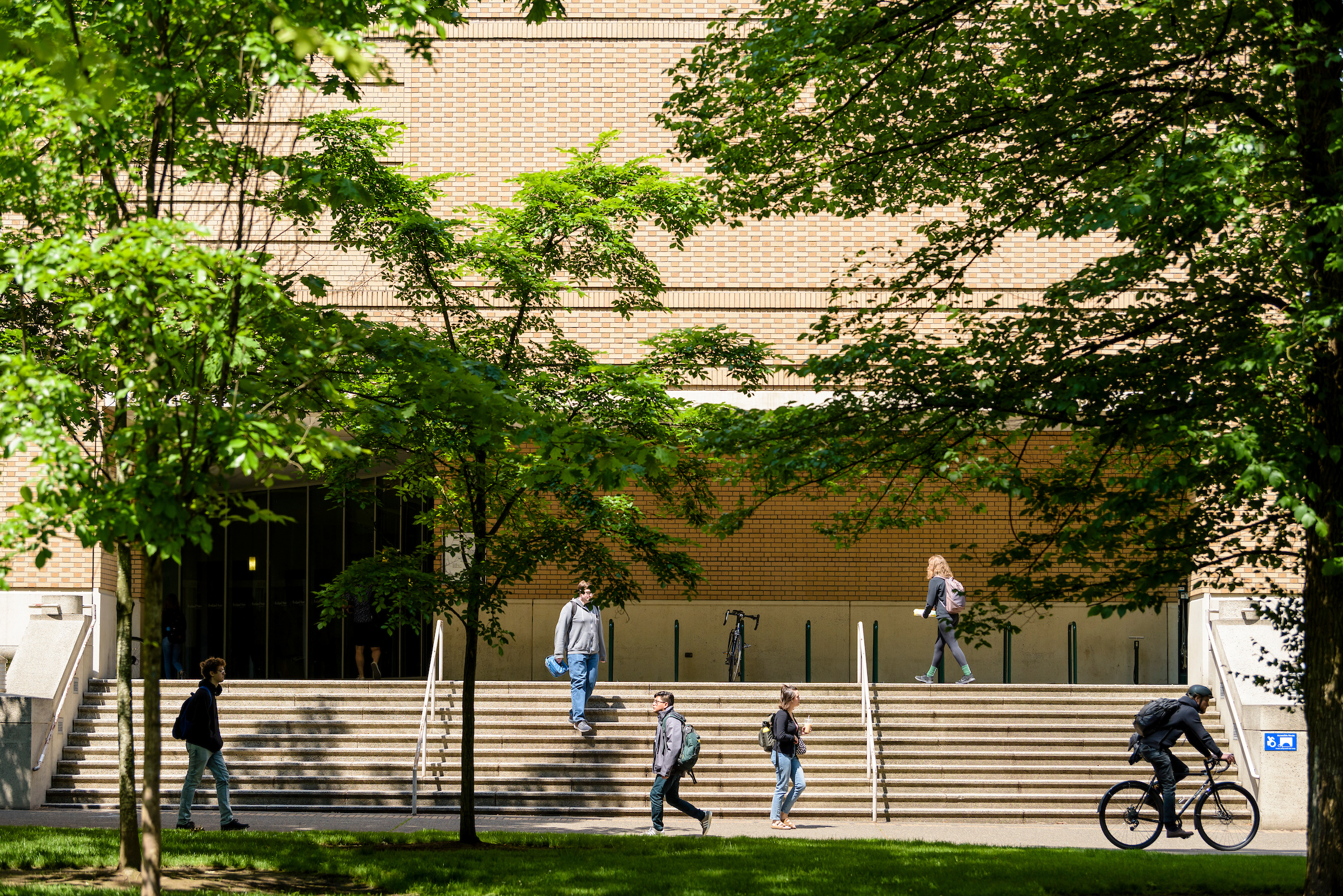 People walking on the library steps