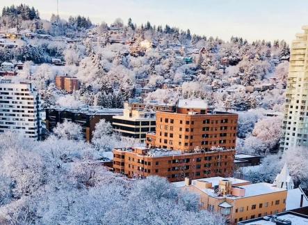 South Park Blocks (with snow)
