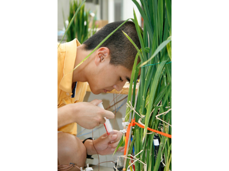 CCAR REU student field work