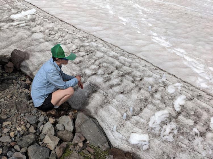 CCAR REU student field work