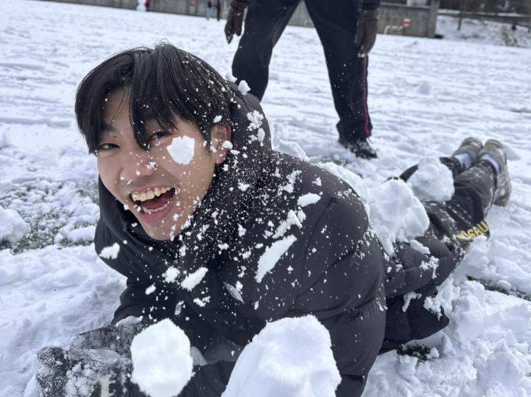 Snowy days 1