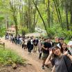 A group of IELP students hiking in the woods.