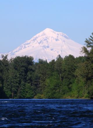 View of Mt. Hood over water