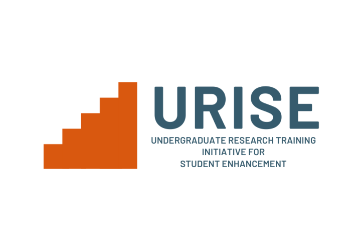 URISE logo