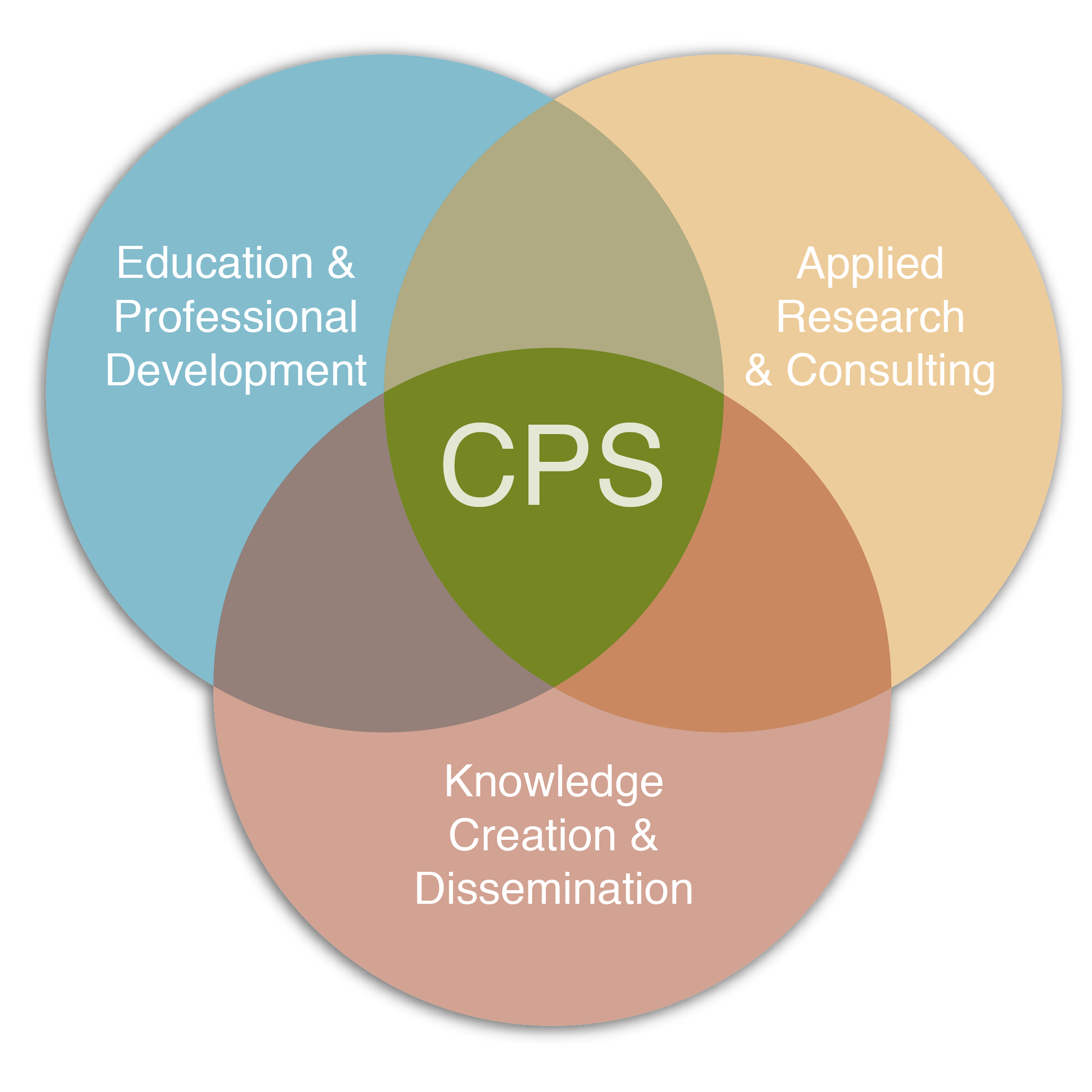 center for public service is the center for education and professional development, applied research and consulting, and knowledge creation and dissemination