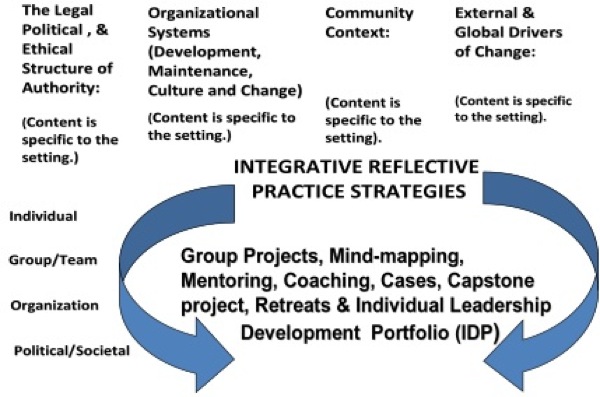 the leader co-production model
