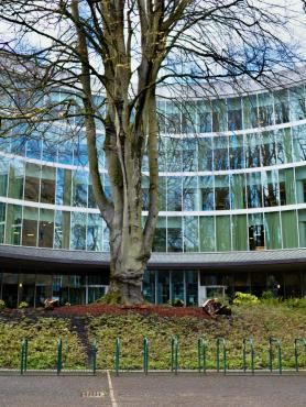 PSU Library