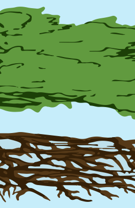 Tree of Government
