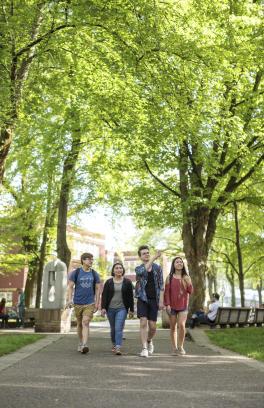 Students walk beneath tree canopy.