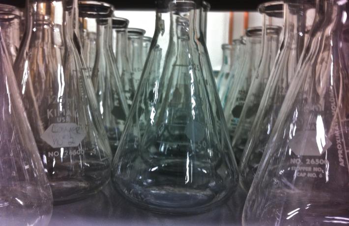 Closeup of Erlenmeyer Flasks on a shelf