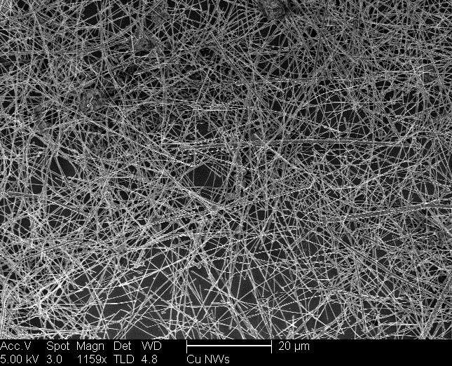 Microscopic image of nanotubes. 