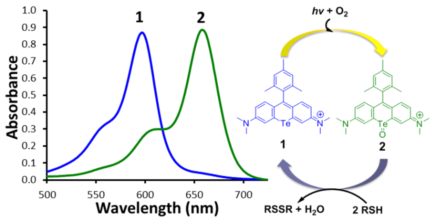 Graph showing absorbance vs wavelength. Also a reaction mechanism. 