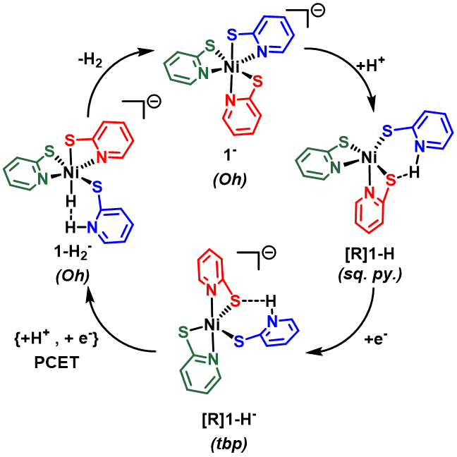 Reaction diagram of nickel catalysts.