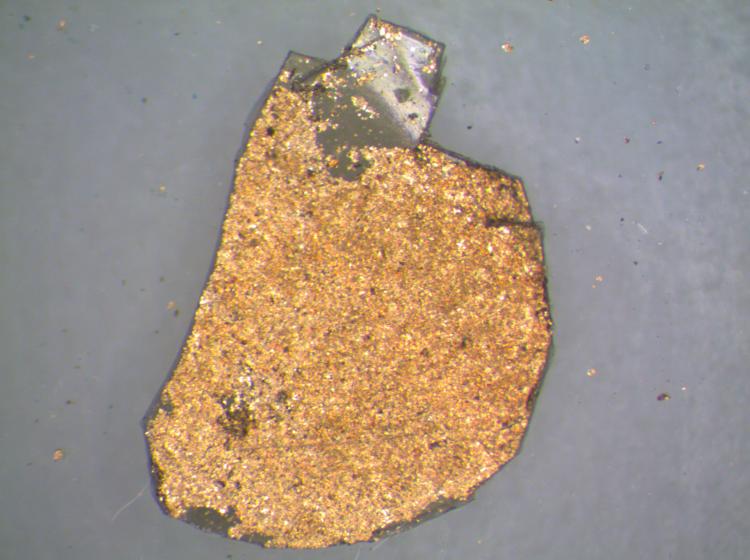 A fragment of a gel-like substance covered in a gold-colored powder imaged under magnification