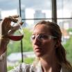 a researcher observes a solution in a beaker