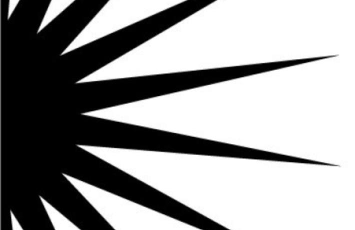 Black burst design on white background