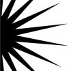 Black burst design on white background