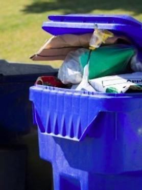 picture of a trash and recycle rollcart in front of a house