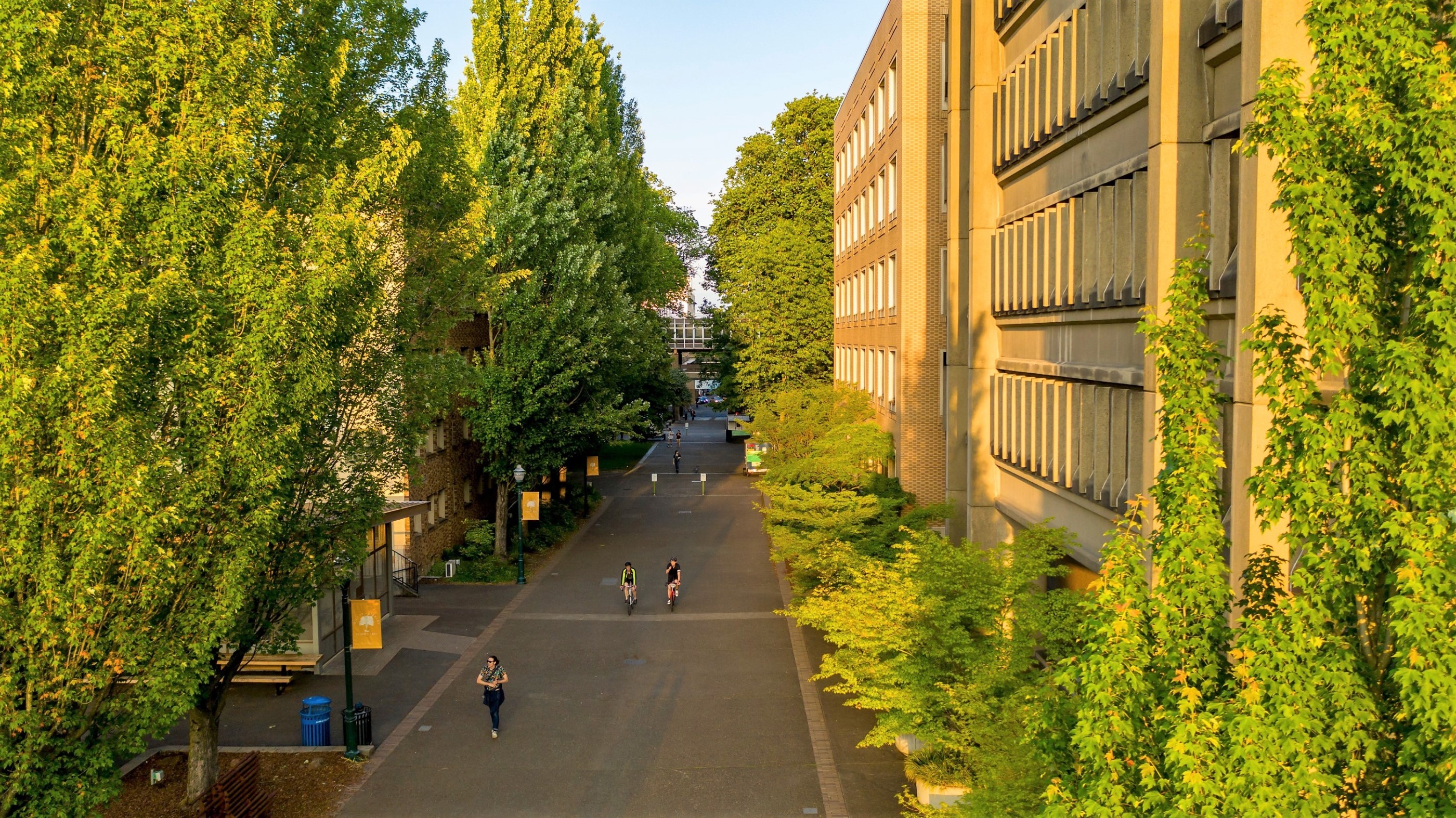 Admission To The CS Major Portland State University admission-to-the-cs-major-portland-state-university