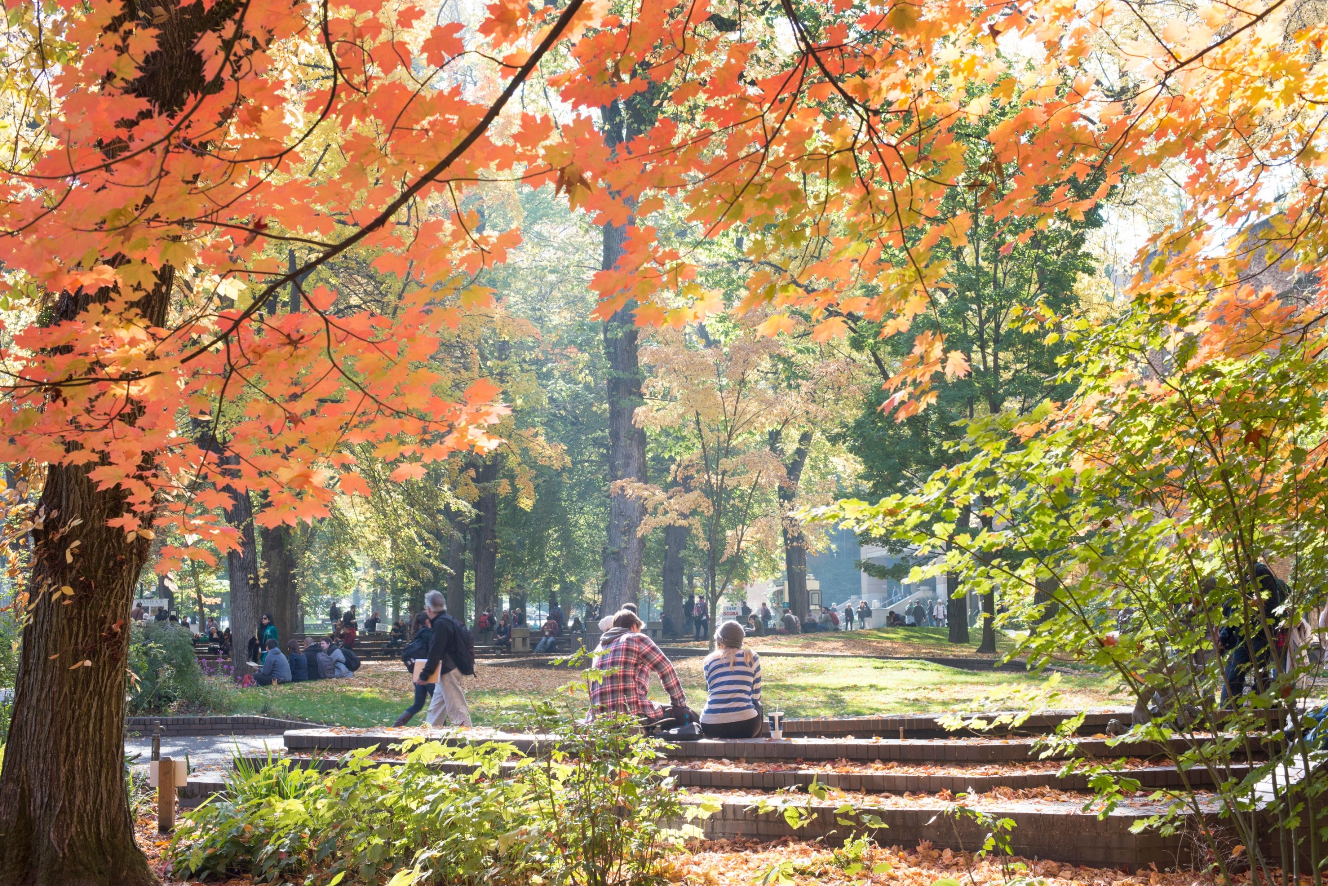 Park Blocks - Fall