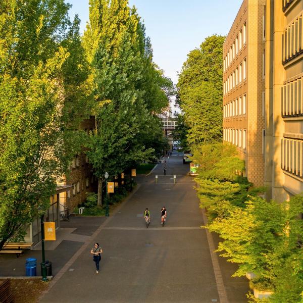 PSU campus near library